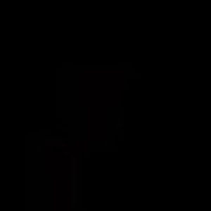 Meet your Posher, Leo